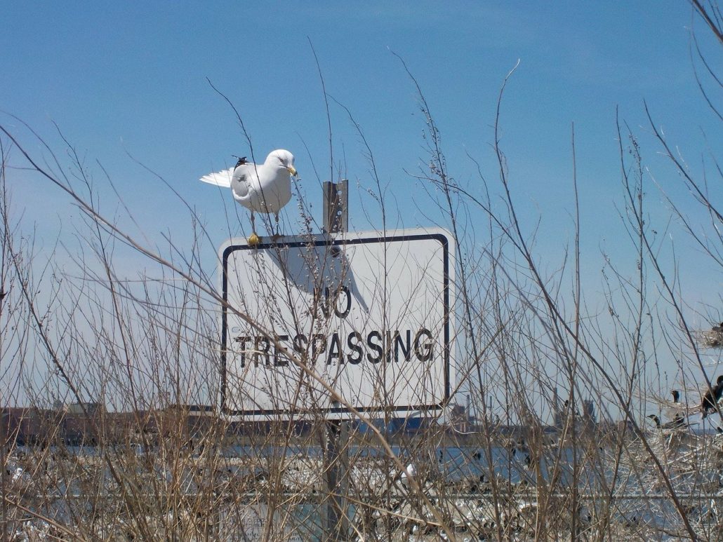 seagull, sign, no trespassing