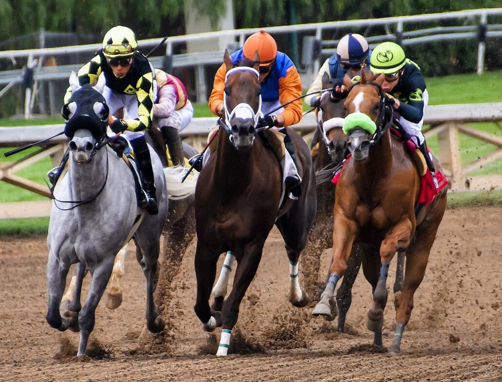 horses, racing, race-3811270.jpg